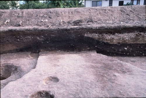 調査区の壁に古墳の墳丘盛土が堆積している様子