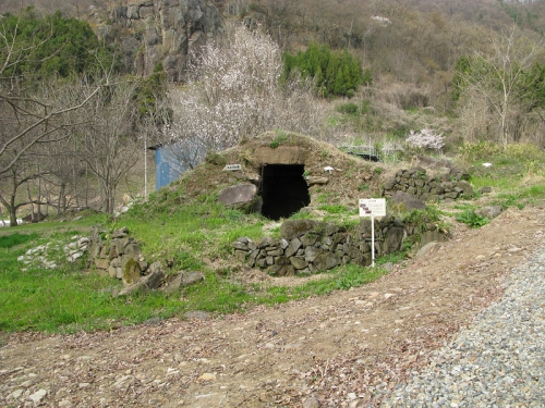 整備以前の240号墳の写真です。墳丘や古墳周辺は草に覆われ、古墳の手前には石積みがつくられています。